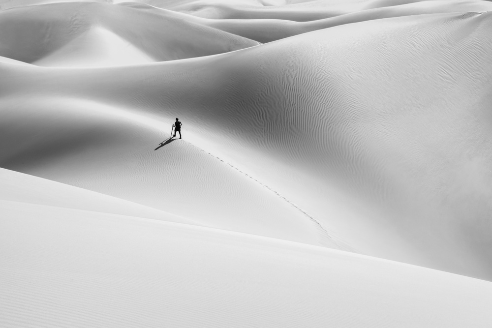 Schatten der Wüste von Hamid Jamshidian