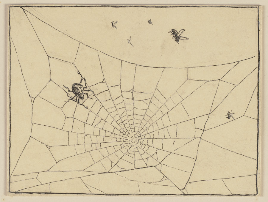 Zeichnung zur Fibel: Spinne von Hans Thoma