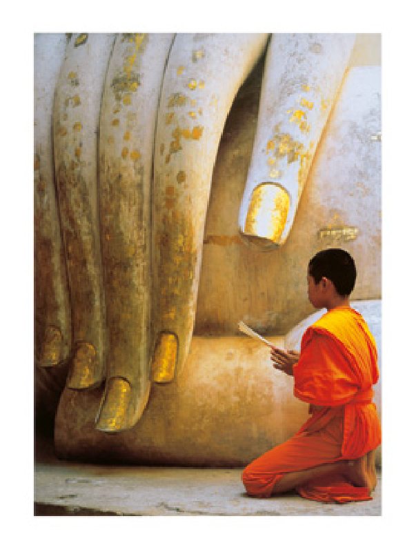 Bild:  Hugh Sitton - The Hand of Buddha