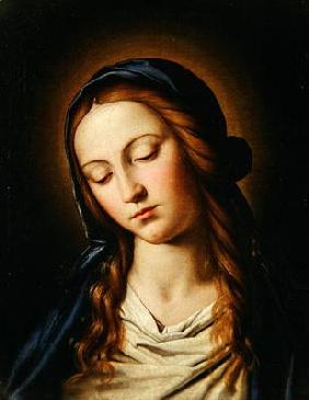 Head of the Madonna (oil on canvas) 20th