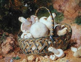 A Basket of Mushrooms 1871  on