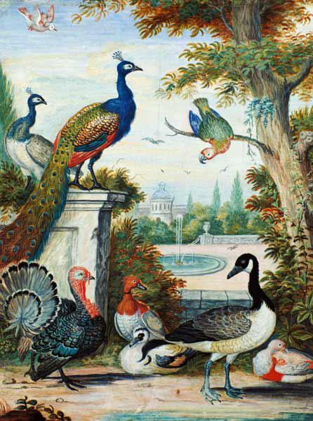 Exotic Birds and Domestic Fowl in a Picturesque Park early 18th