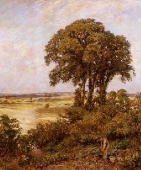 Landscape in Sussex 1898