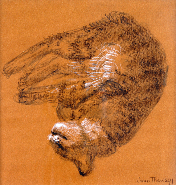 Sleeping Tabby Cat von Joan  Thewsey