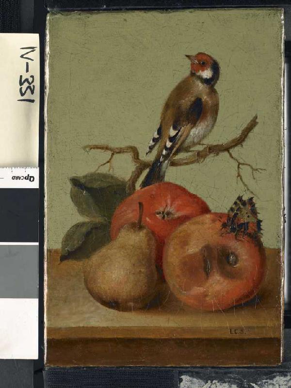 Fruchtstück mit Buntfink und Schmetterling. von Johann Conrad Seekatz