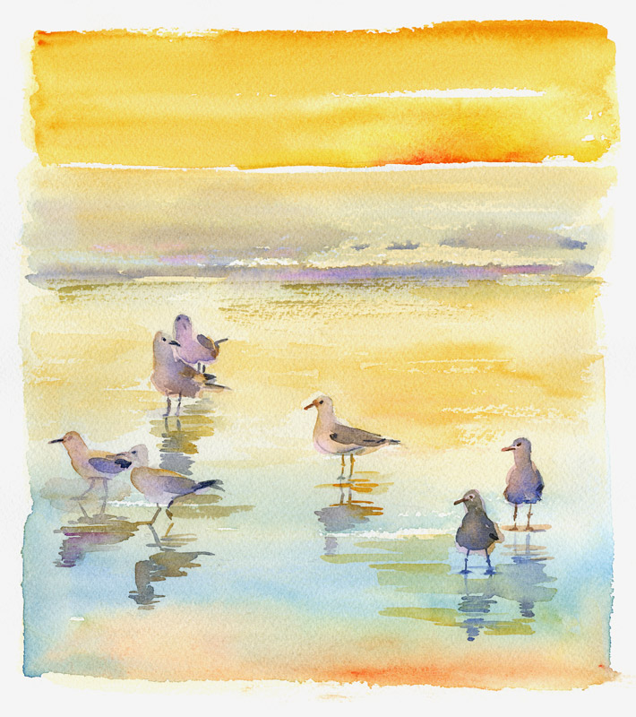Seagulls on beach von John Keeling