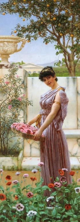 Die Blumen der Venus 1890