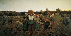 Calling in the Gleaners 1859
