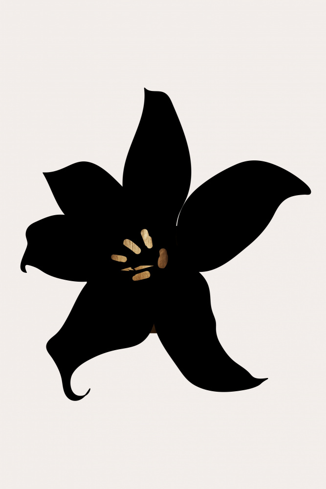 Dunkle Orchidee von Kubistika