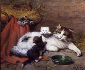 Cat with kittens 1924