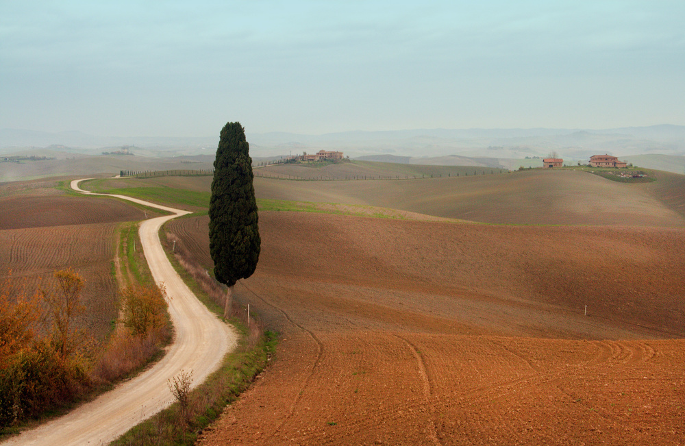 Landschaft von Luciano Caturegli