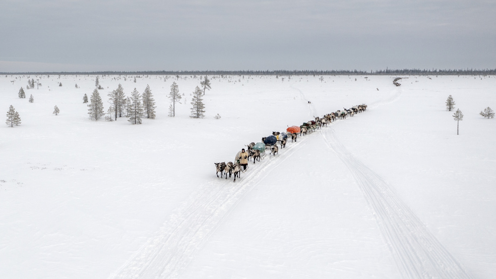 Kreuzung in der Tundra von Marcel Rebro