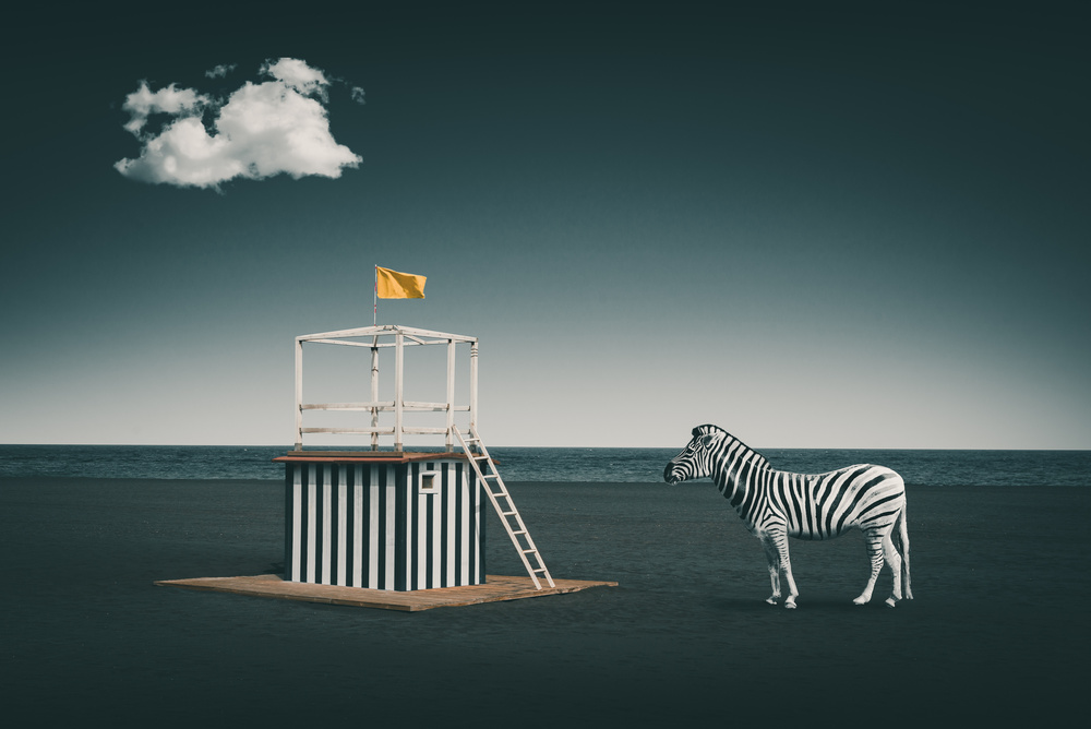 Zebra-Stil von Marcus Hennen