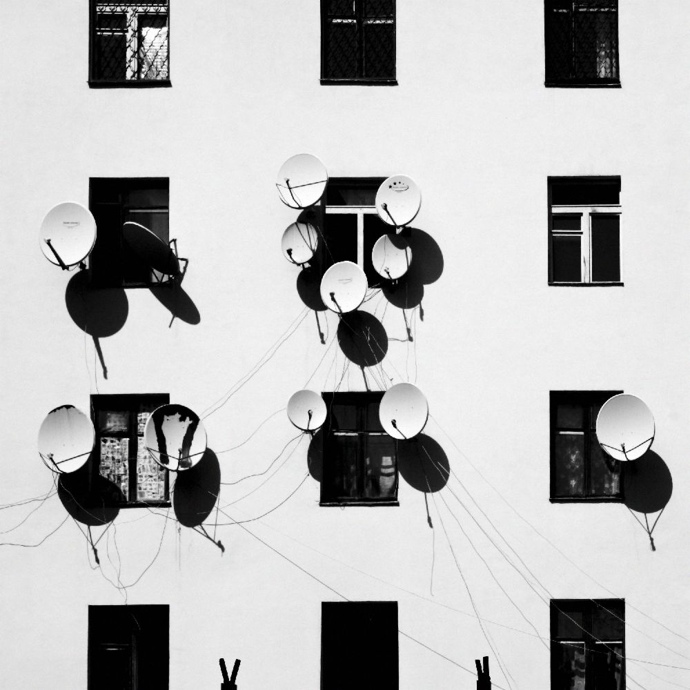 Windows von Marina Yushina