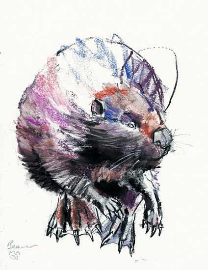 Beaver von Mark  Adlington