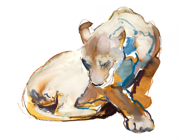 Feline Paint (lioness) von Mark  Adlington
