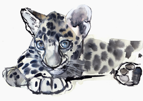 Spotty (Arabian Leopard Cub) von Mark  Adlington