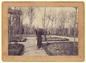 Gustave Caillebotte (1848-94) gardening at Petit Gennevilliers, February 1892 (b/w photo) 16th