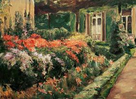 Blumenstauden am Gärtnerhäuschen nach Osten 1928