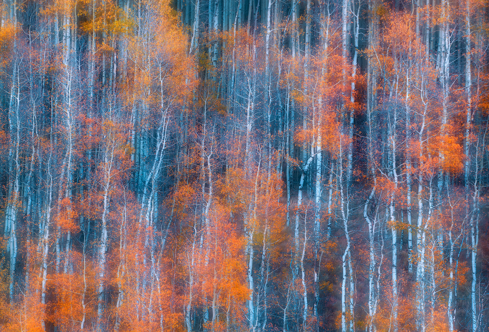 Herbst-Zusammenfassung von Mei Xu