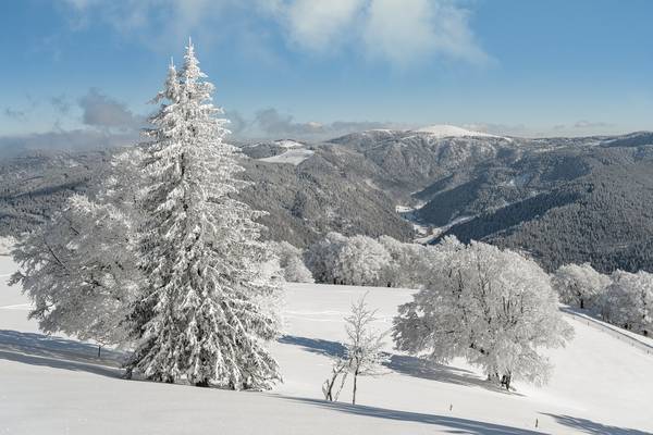 Blick zum Feldberg im Schwarzwald im Winter von Michael Valjak