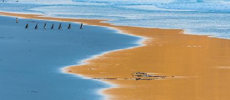 sieben am Strand