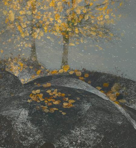 Fallende Blätter