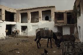 Caravanserai (photo) 