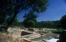 Excavations of the Roman-Etruscan Town (photo) 1799