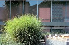 The fountain of grass with overlapping concrete hexagons, Lucerne (photo) 