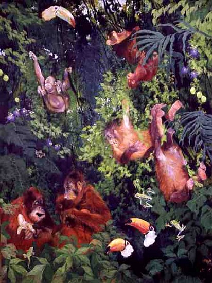 Orangutangs and Toucans, 1998 (inks, acrylics and pencil crayon on canvas)  von Odile  Kidd