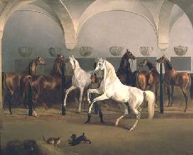 The Stables at Babolna 1849