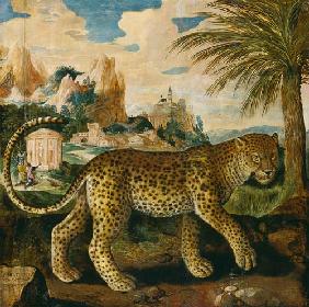 Ein Leopard. 1572
