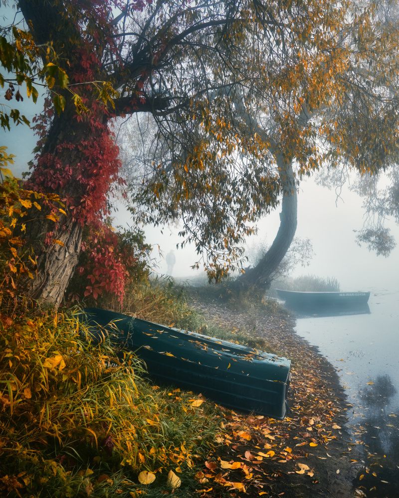 Herbstliche Melancholie von Pawel Kado