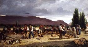 The Pig Market 1875