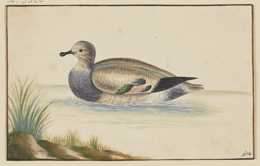 Ente nach links von Pieter Holsteyn d. Ä.
