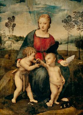 Madonna del Cardellino 1506