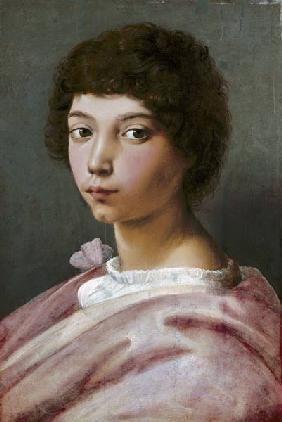 Porträt eines jungen Mannes 1517