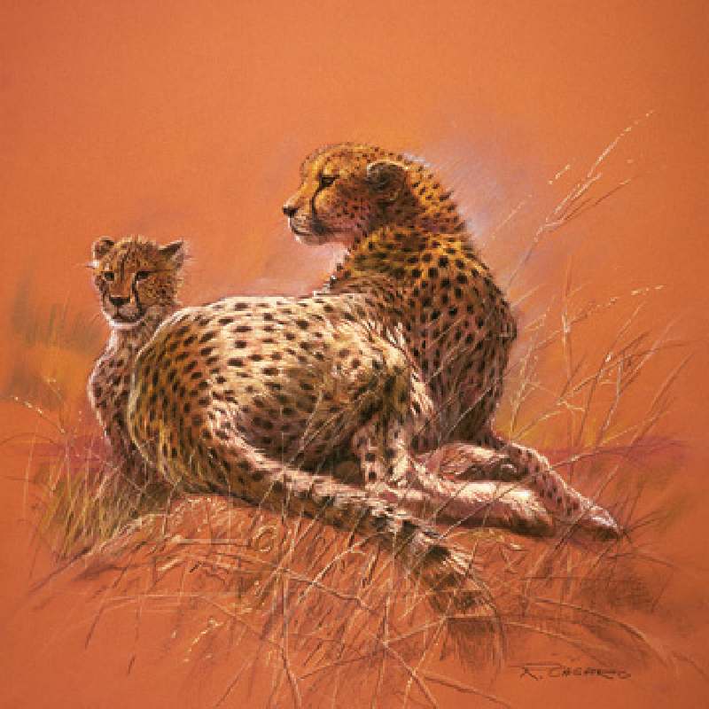 Bild:  Renato Casaro - Cheetah Mother
