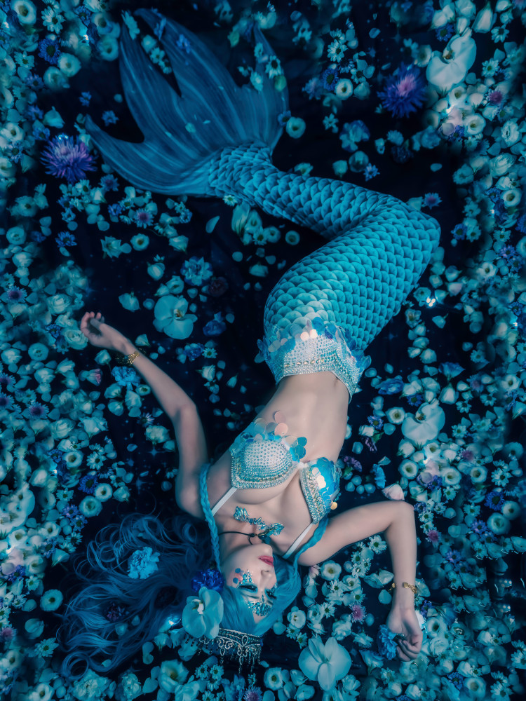 Eine Meerjungfrau träumt von einem Sternenhimmel von Rihito(Licht)
