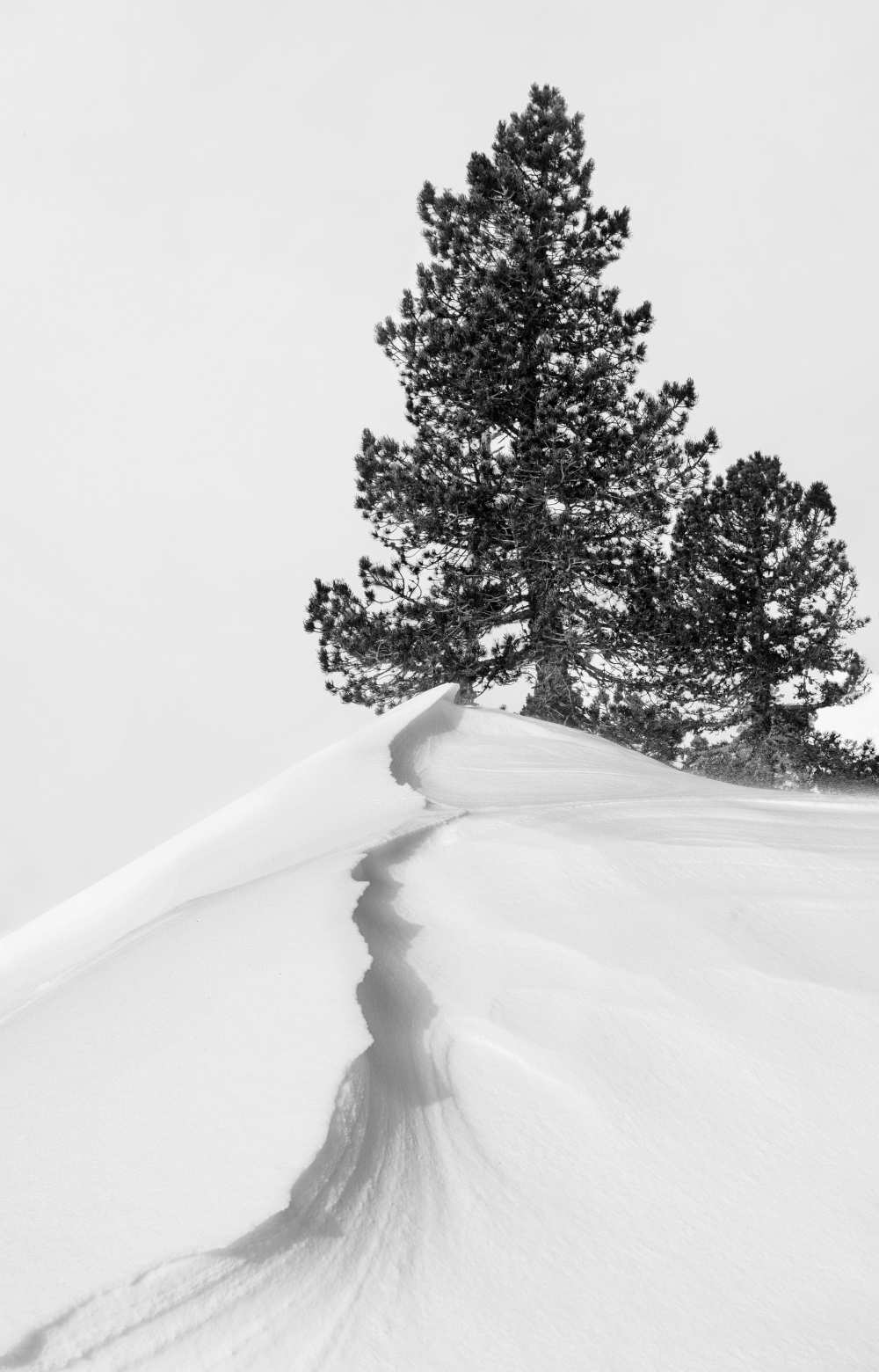 Über den Schnee und die Formen von Rodrigo Núñez Buj