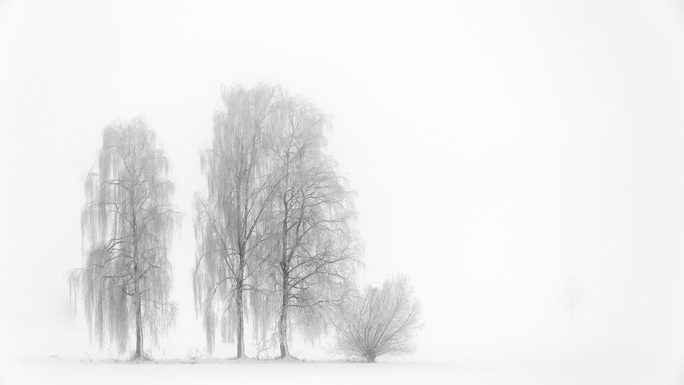 Winterstimmung von Roland Bucheli