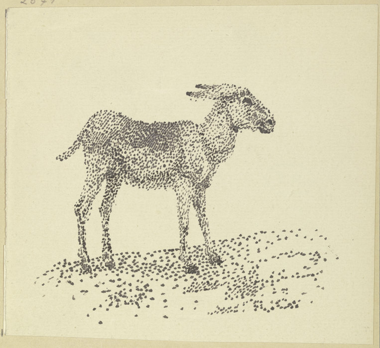 Esel von Rudolf Gudden