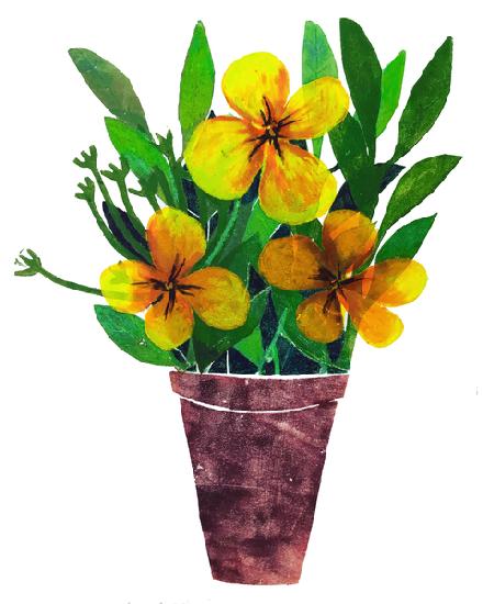 Yellow plant pot 2019