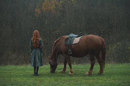 Eine Geschichte mit einem Mädchen und einem Pferd