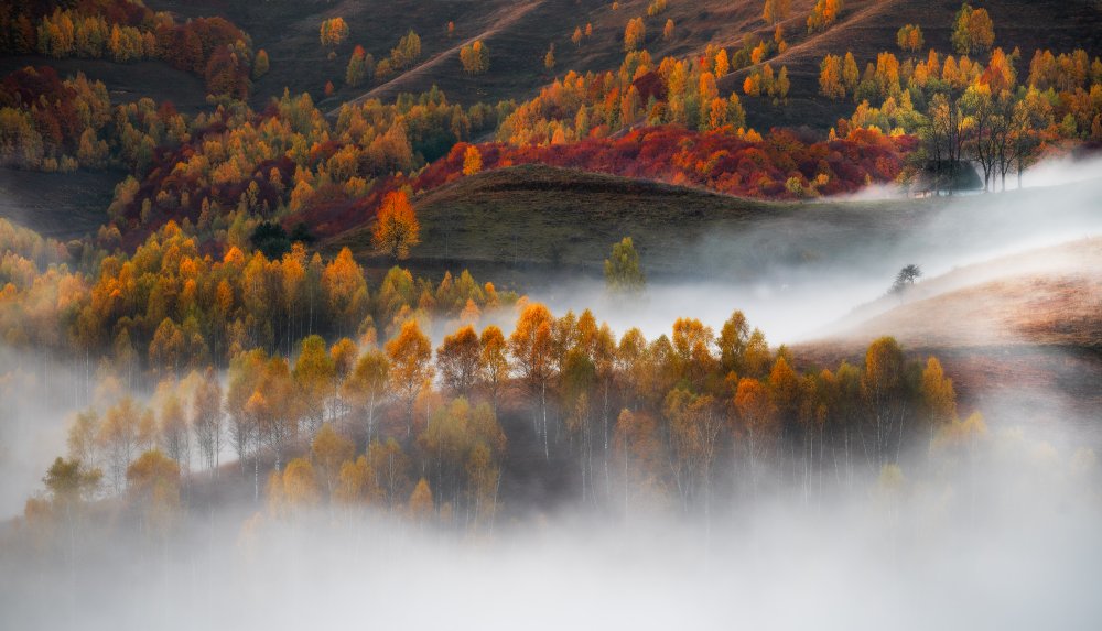 Fließender Nebel von Stefan Hogea