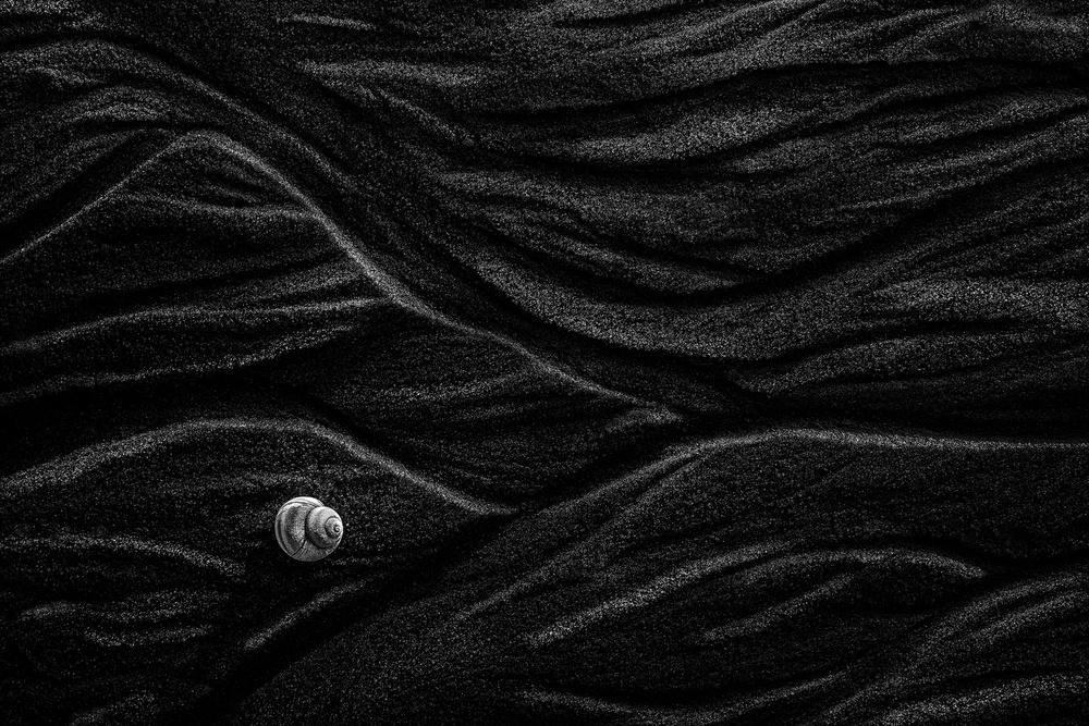 Sand und Muschel von Stephen Clough