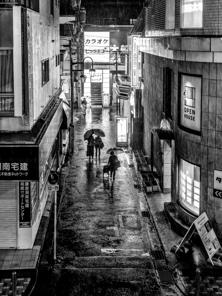 Starker Regen II von Takashi Hasegawa