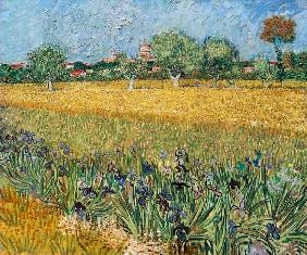 Blick auf Arles mit Irisblüten 1888