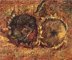 Two Cut Sunflowers 1887